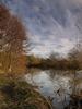 Tales Of The River Bank